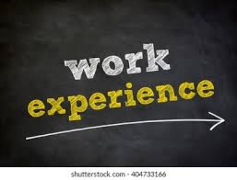 Why Internships and Work Experience Matter for Student Success: A ...